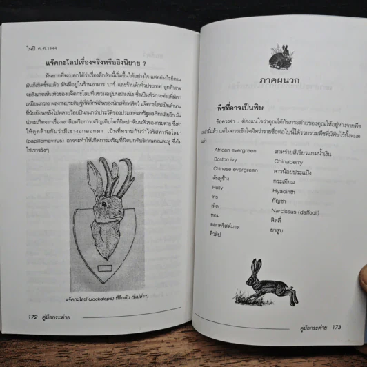 คู่มือกระต่าย The Rabbit Handbook - กณิกกนันท์ ลีฬวรรณ รูปที่ 10