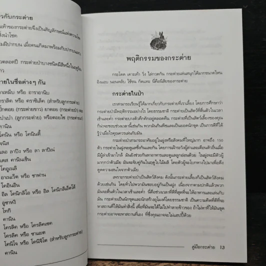 คู่มือกระต่าย The Rabbit Handbook - กณิกกนันท์ ลีฬวรรณ รูปที่ 9