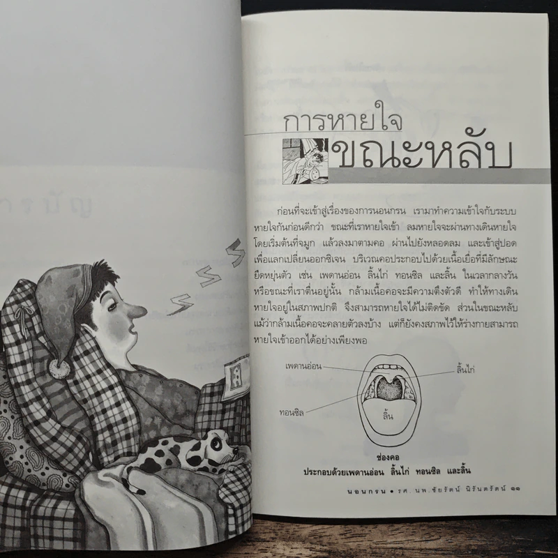 นอนกรน - รองศาสตราจารย์ นายแพทย์ชัยรัตน์ นิรันตรัตน์ รูปที่ 8