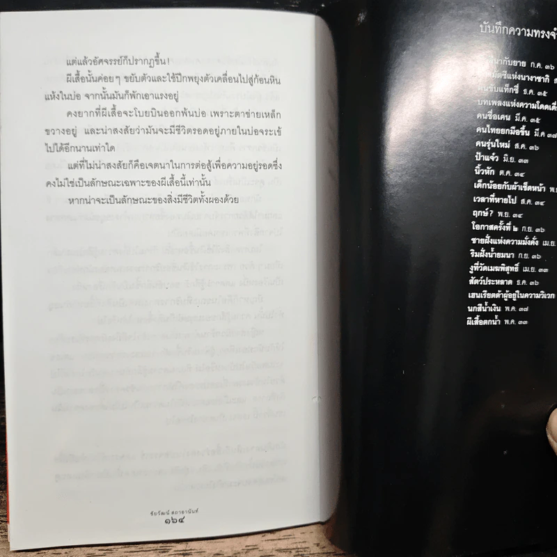 มีกรอบไม่มีเส้น - ชัยวัฒน์ สถาอานันท์ รูปที่ 9