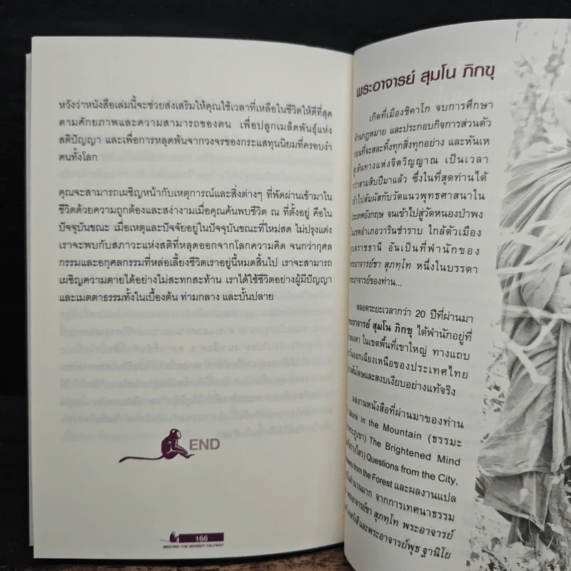จิตอยู่ไม่สุข - พระอาจารย์สุมโน ภิกขุ รูปที่ 9