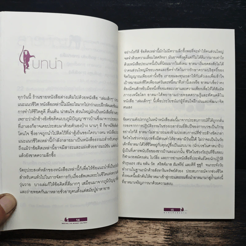 จิตอยู่ไม่สุข - พระอาจารย์สุมโน ภิกขุ รูปที่ 8