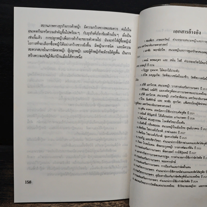 สนามหญ้า - เอกชัย พฤกษ์อำไพ, สำเริง คำทอง รูปที่ 9