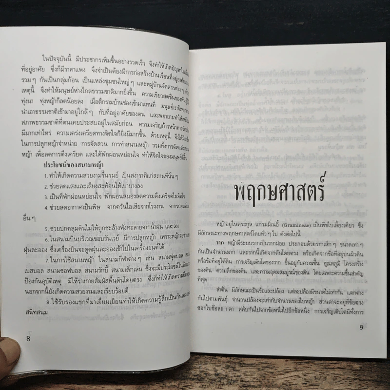 สนามหญ้า - เอกชัย พฤกษ์อำไพ, สำเริง คำทอง รูปที่ 8