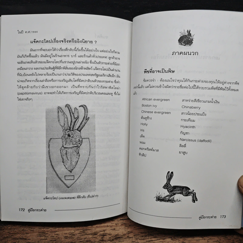 คู่มือกระต่าย The Rabbit Handbook - กณิกกนันท์ ลีฬวรรณ รูปที่ 10
