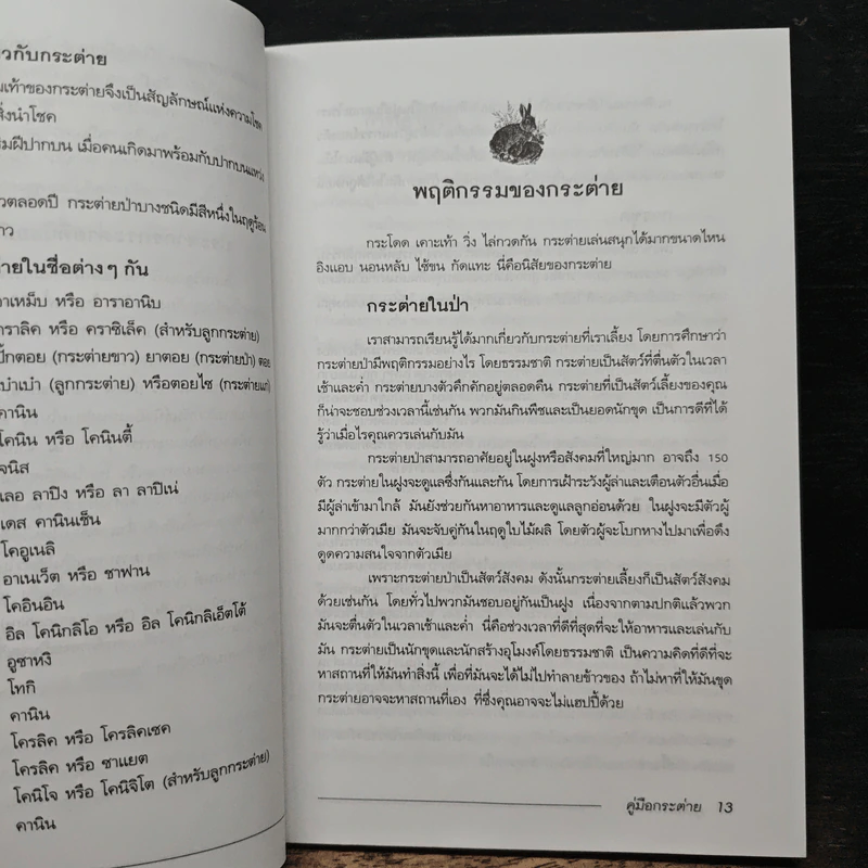 คู่มือกระต่าย The Rabbit Handbook - กณิกกนันท์ ลีฬวรรณ รูปที่ 9
