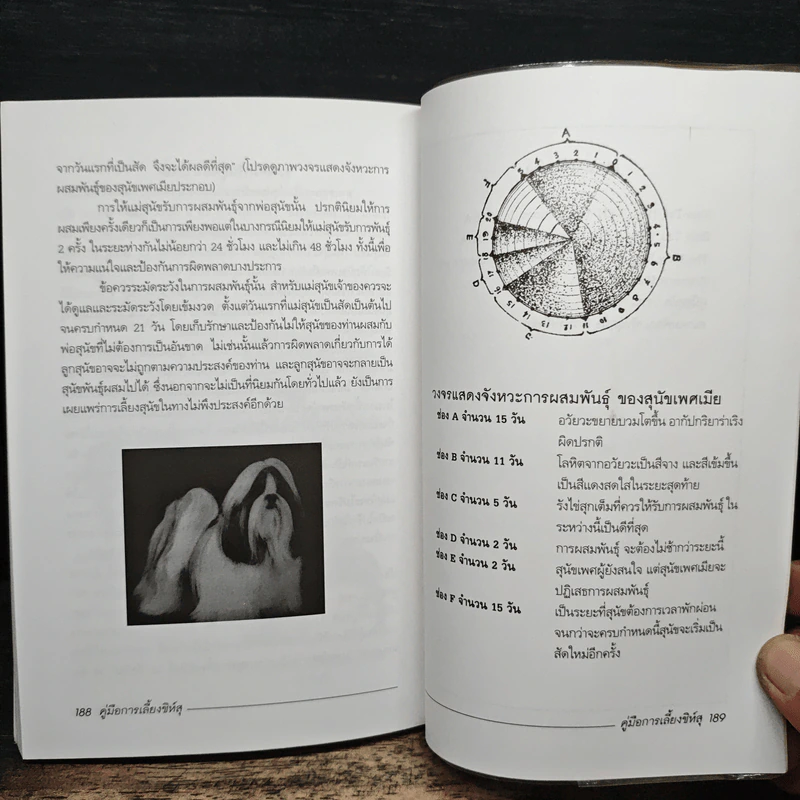 คู่มือการเลี้ยงชิห์สุ - วิชัย คูสกุล รูปที่ 10