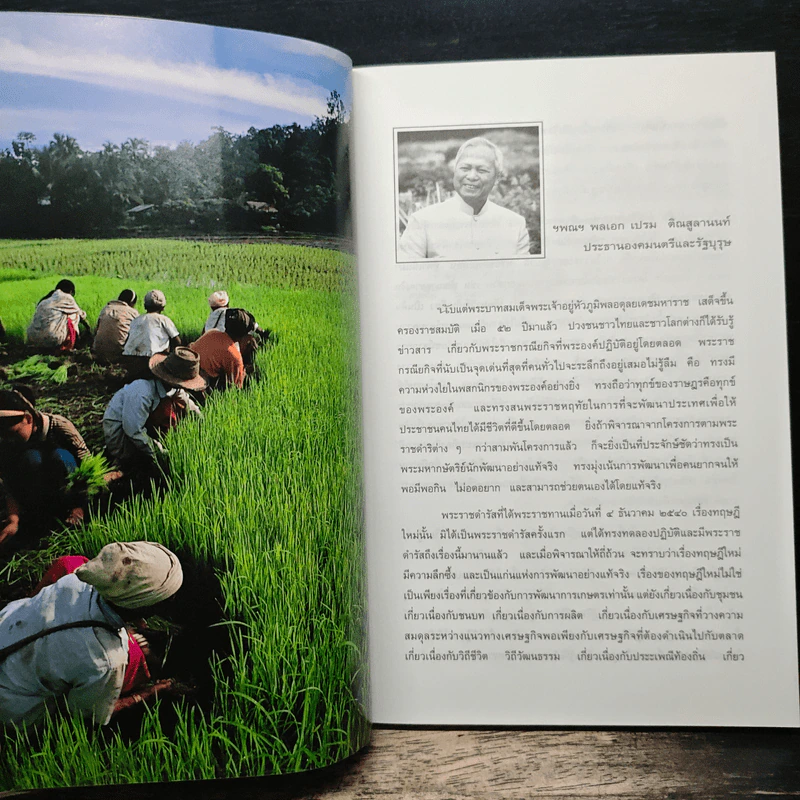 ทฤษฎีใหม่ในหลวงชีวิตที่พอเพียง รูปที่ 7