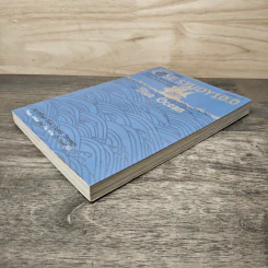 CASE STUDY 10.0: Blue Ocean รูปที่ 3