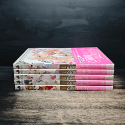 ลิขิตจอมนครา เล่ม 1-5 - ติ่มซำสตูดิโอ รูปที่ 2