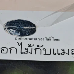 ดอกไม้กับแมลง - โยชิ โอกะ รูปที่ 3