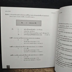 พลังงานใกล้ตัว - ศาสตราจารย์ ดร.สุนทร บุญญาธิการ รูปที่ 10