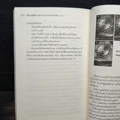 แฟ้มคดีพิศวงของนักประเมินอัจฉริยะ Q เล่ม 2 - Matsuoka Keisuke รูปที่ 8
