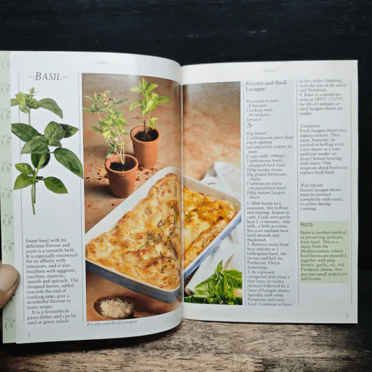 Favourite Herbs รูปที่ 6