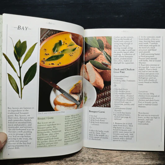Favourite Herbs รูปที่ 8