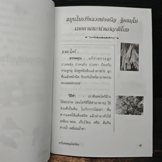 ยาวิเศษสมุนไพรไทย พร้อมบทสวดมนต์ศักดิ์สิทธิ์ รูปที่ 7