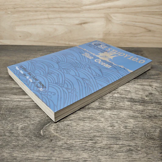 CASE STUDY 10.0: Blue Ocean รูปที่ 3