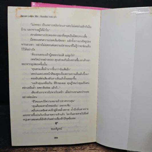 Never Leave Me เสน่หาฟ้าลิขิต 2 เล่มจบ รูปที่ 8