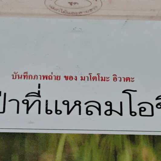สัตว์ป่าที่แหลมโอชิมะ รูปที่ 3