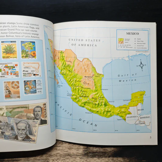 Guide to Mexico - Brian Williams รูปที่ 8