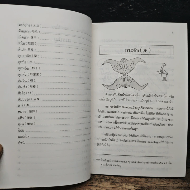 คู่มือ-คู่บ้าน เล่ม 1 ผลไม้ อาหารก็เป็นยาได้ - วีรชัย มาศฉมาดล รูปที่ 10