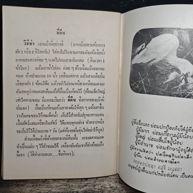 อาหารธรรมชาติเพื่อสุขภาพและความงาม - มูลนิธิธรรมสันติ รูปที่ 8
