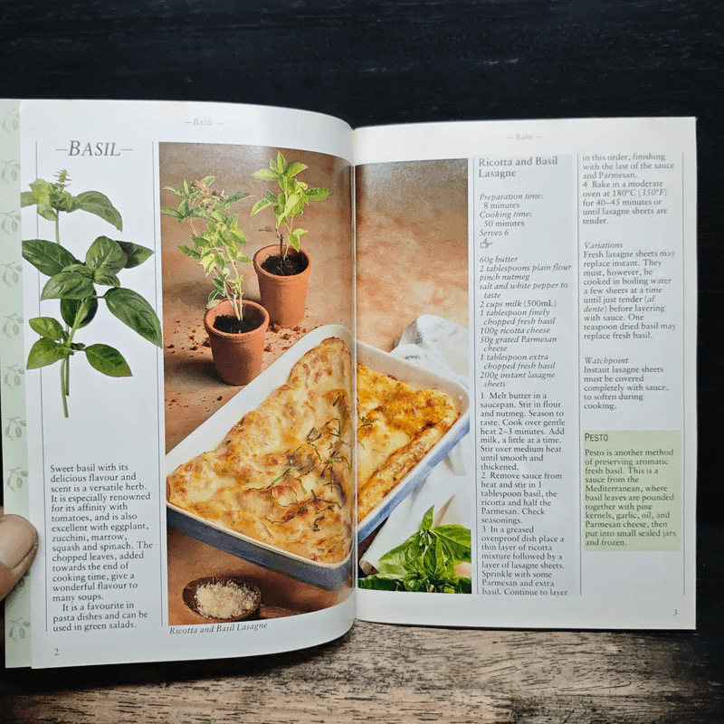 Favourite Herbs รูปที่ 6