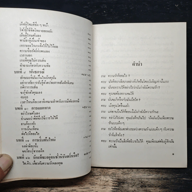 คู่มือคนมีรัก - รักษิณา รูปที่ 9
