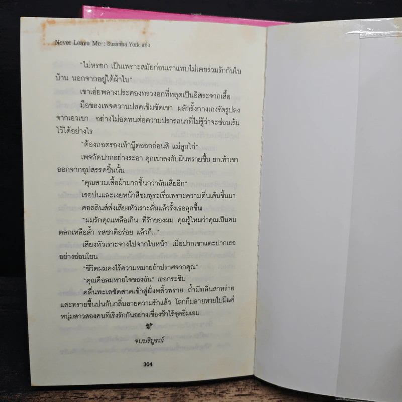 Never Leave Me เสน่หาฟ้าลิขิต 2 เล่มจบ รูปที่ 8