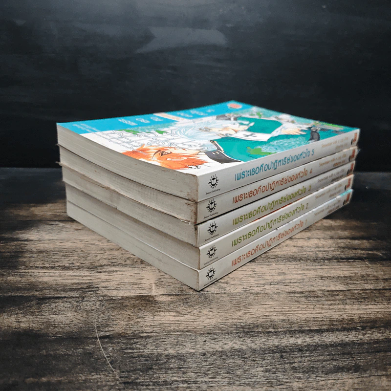 เพราะเธอคือปาฏิหาริย์ของหัวใจ 5 เล่มจบ - Snowman with a cap, เฟ่ยหลาน รูปที่ 4