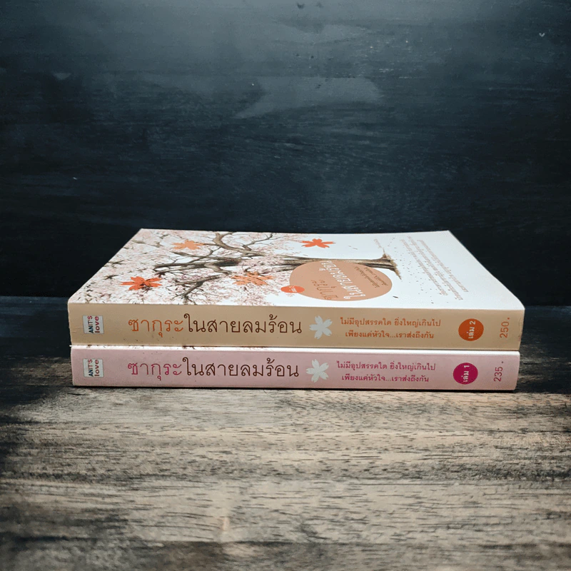 ซากุระในสายลมร้อน เล่ม 1-2 - อันโตนิโอ รูปที่ 3