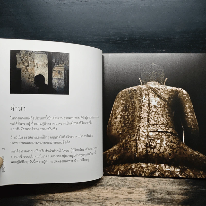 ตามความเป็นจริง - ชยสาโร ภิกขุ รูปที่ 7