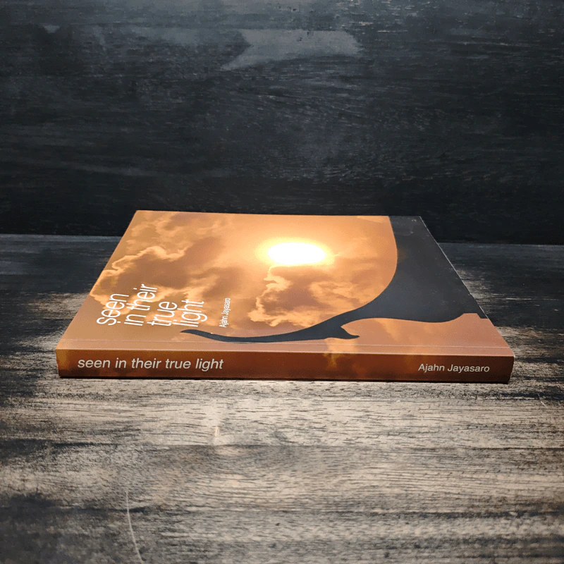 Seen in Their True Light - Ajahn Jayasaro รูปที่ 3