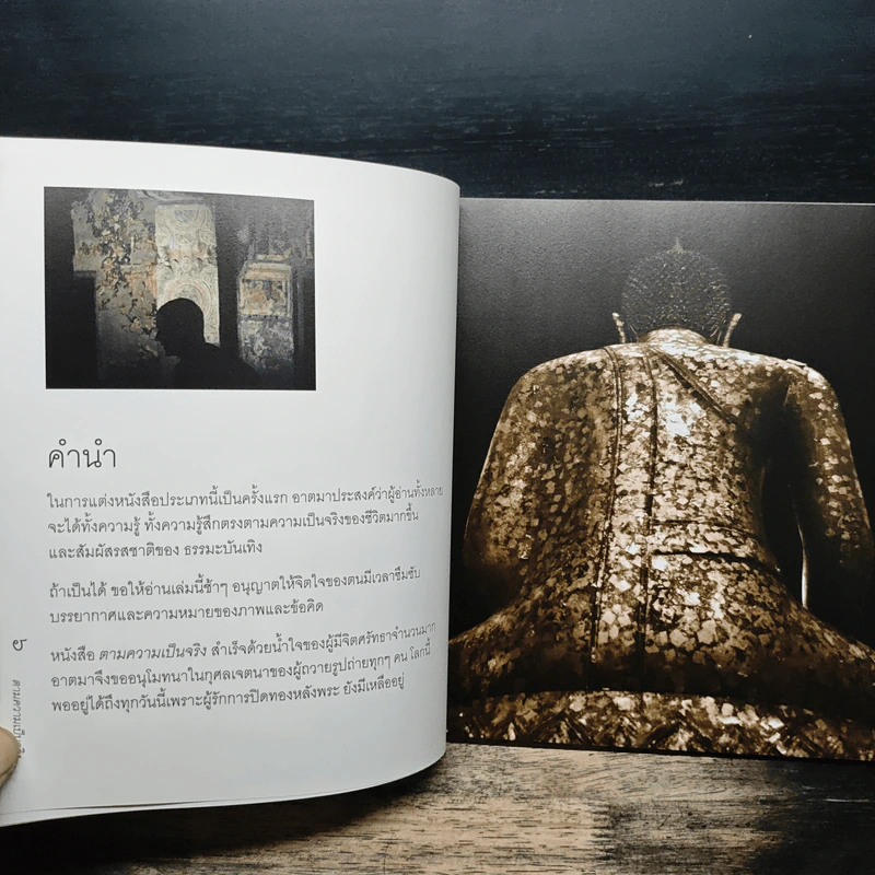 ตามความเป็นจริง - ชยสาโร ภิกขุ รูปที่ 7