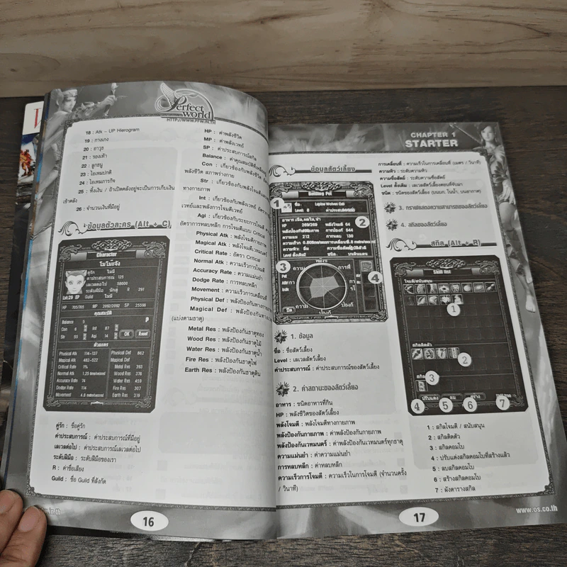 หนังสือ คู่มือเกม Perfect World Beginner Guide รูปที่ 6
