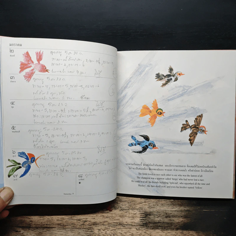 ติดปีก winged สมุดบันทึกนิทาน 2538 รูปที่ 9