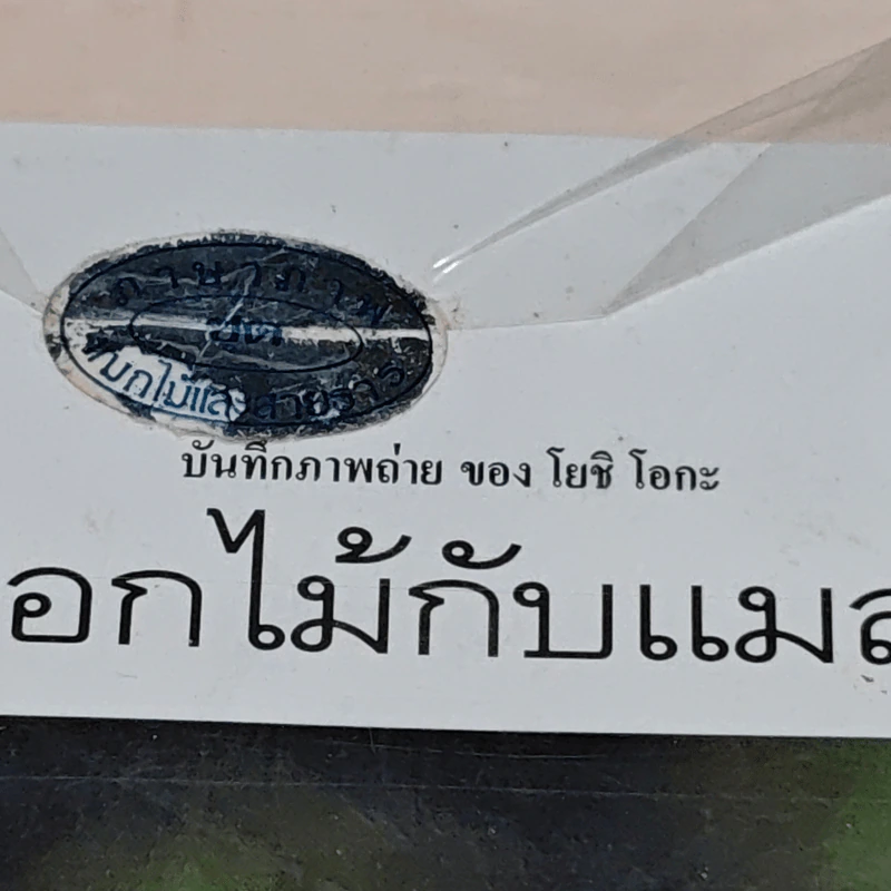ดอกไม้กับแมลง - โยชิ โอกะ รูปที่ 3