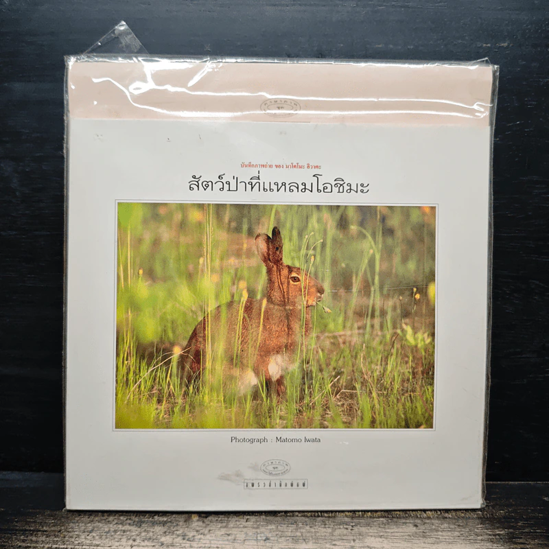 สัตว์ป่าที่แหลมโอชิมะ รูปที่ 1