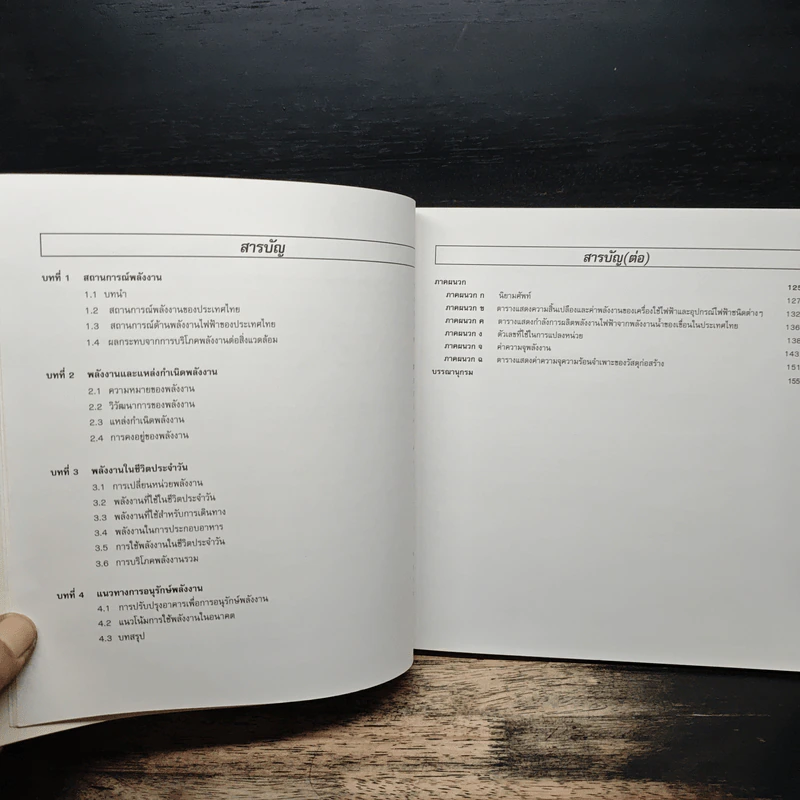 พลังงานใกล้ตัว - ศาสตราจารย์ ดร.สุนทร บุญญาธิการ รูปที่ 8
