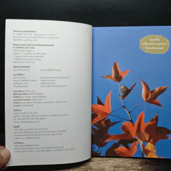 อินทนนท์สูงสุดแดนสยาม Guide Book รูปที่ 5