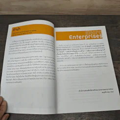 Micro Enterprises รายงานสถานการณ์ วิสาหกิจรายย่อย ปี 2551 รูปที่ 7