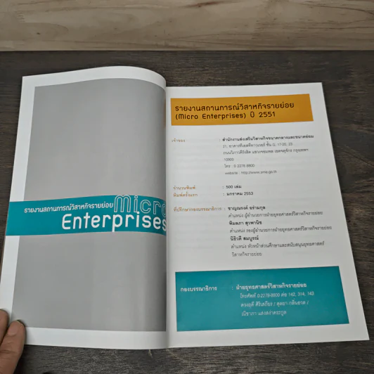 Micro Enterprises รายงานสถานการณ์ วิสาหกิจรายย่อย ปี 2551 รูปที่ 6