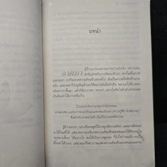 หิมะกลางฤดูร้อน - พระโชติกะ รูปที่ 8