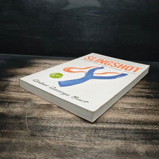 Slingshot: Re-Imagine Your Business รูปที่ 4