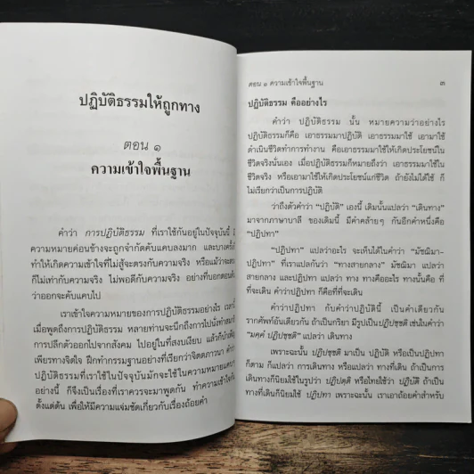 ปฏิบัติธรรมให้ถูกทาง - พระพรหมคุณาภรณ์ (ป.อ.ปยุตโต) รูปที่ 10