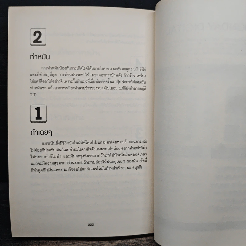 The List Top 40 ด้วยการจัดอันดับ รูปที่ 9