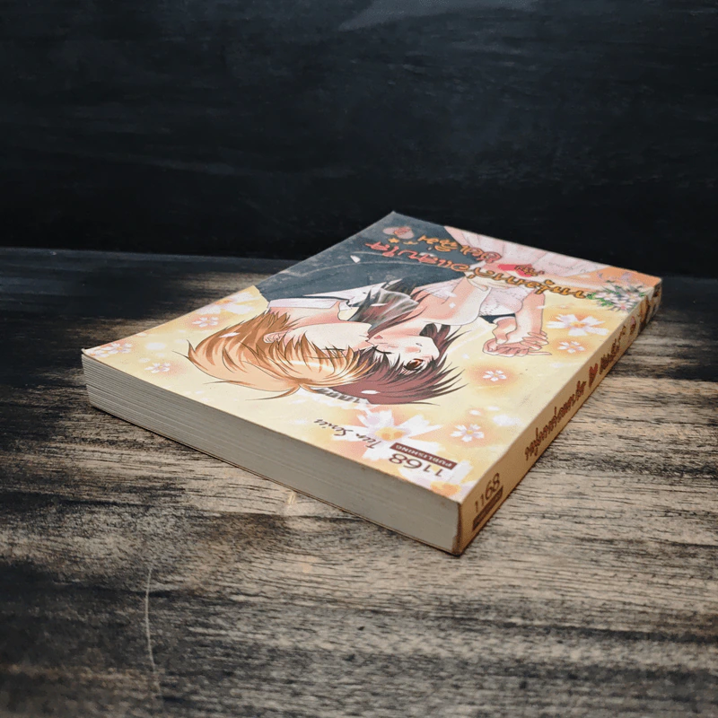 หนุ่มหล่อแสบใสกับยัยเฉิ่ม เล่ม 2 - nj venus รูปที่ 5