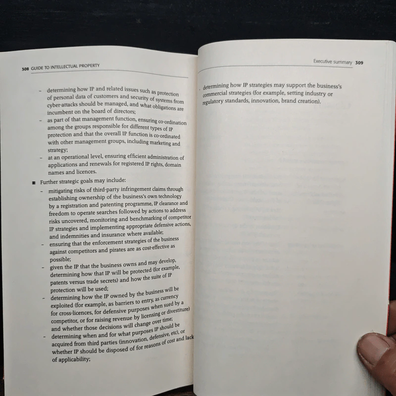 Guide to Intellectual Property - Stephen Jonnson รูปที่ 12