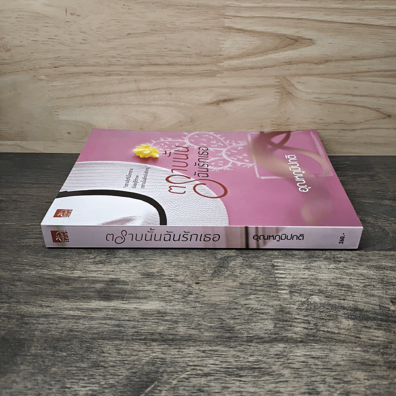 ตราบนั้นฉันรักเธอ - อุณหภูมิปกติ รูปที่ 2