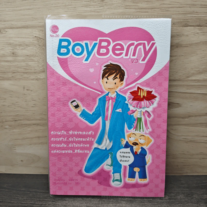 BoyBerry V.3 - ว.แหวน รูปที่ 1
